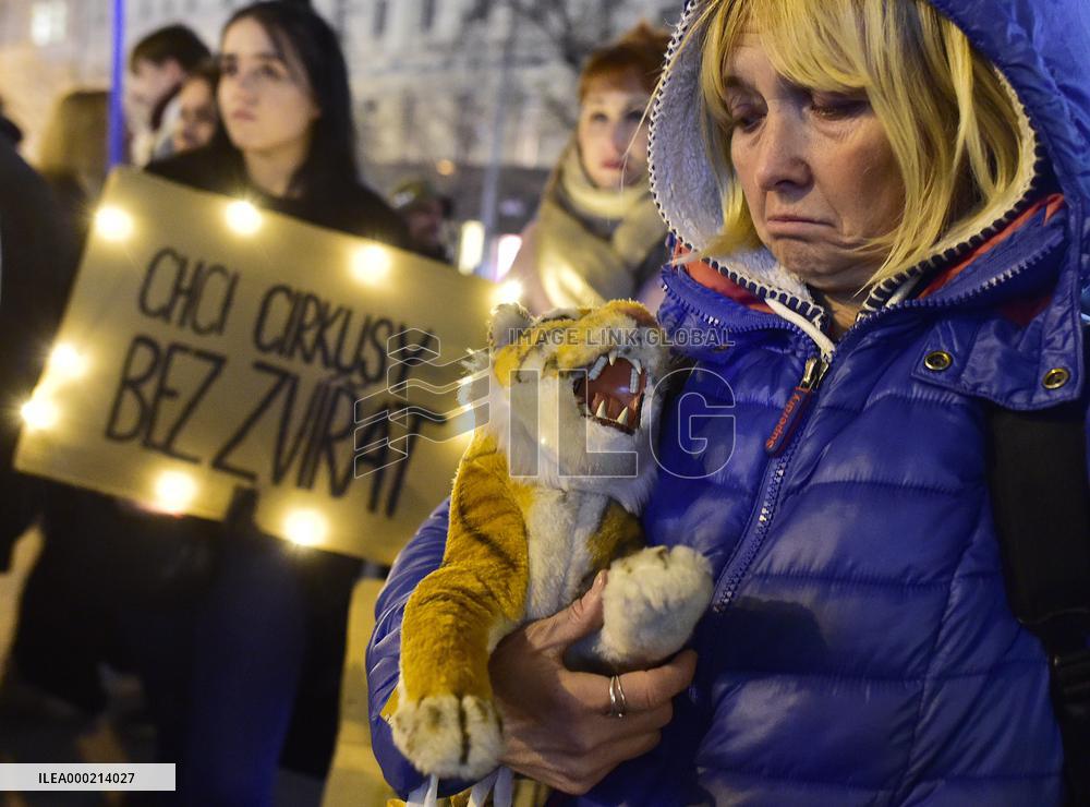 march for circuses without animals