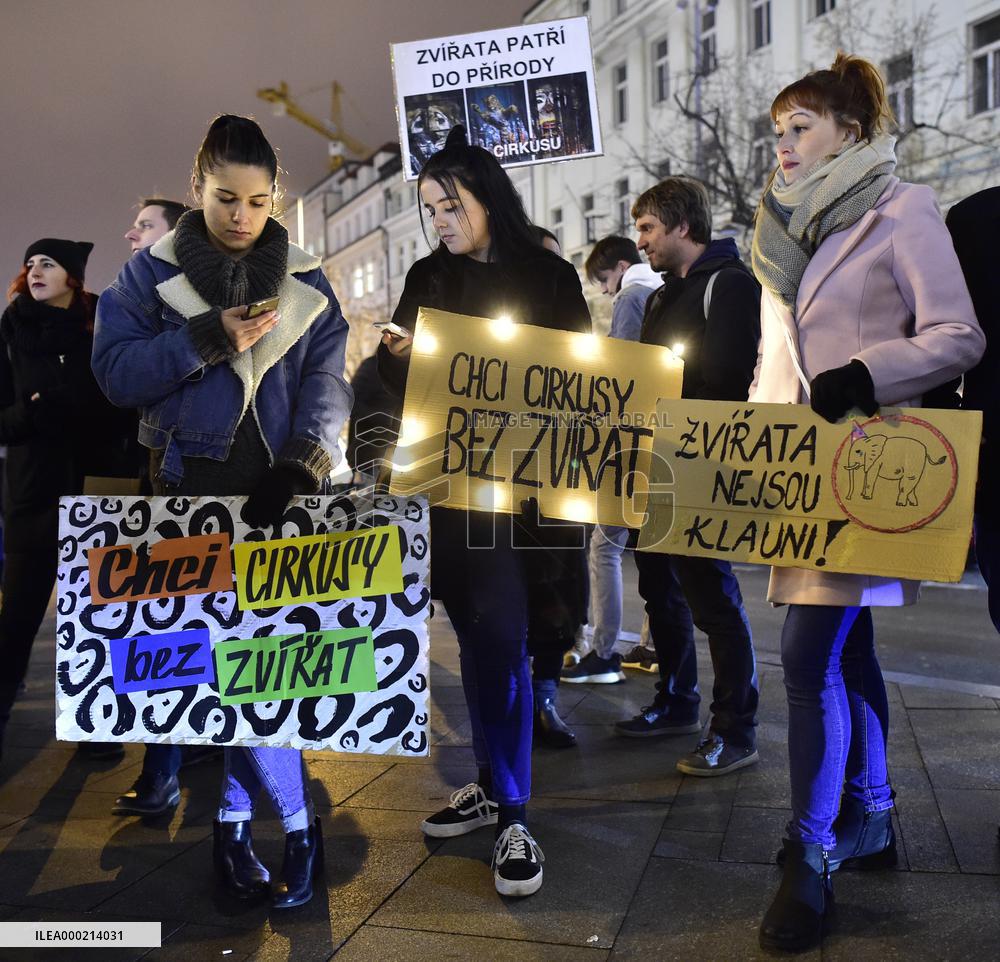march for circuses without animals