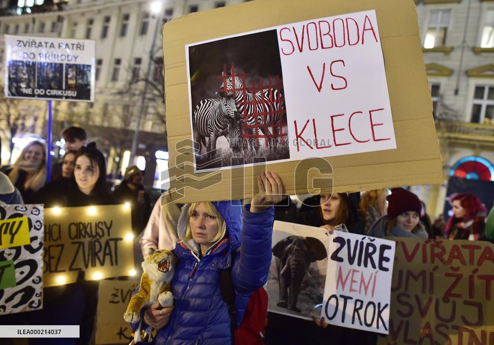 march for circuses without animals