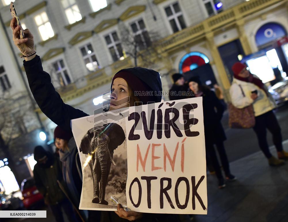 march for circuses without animals