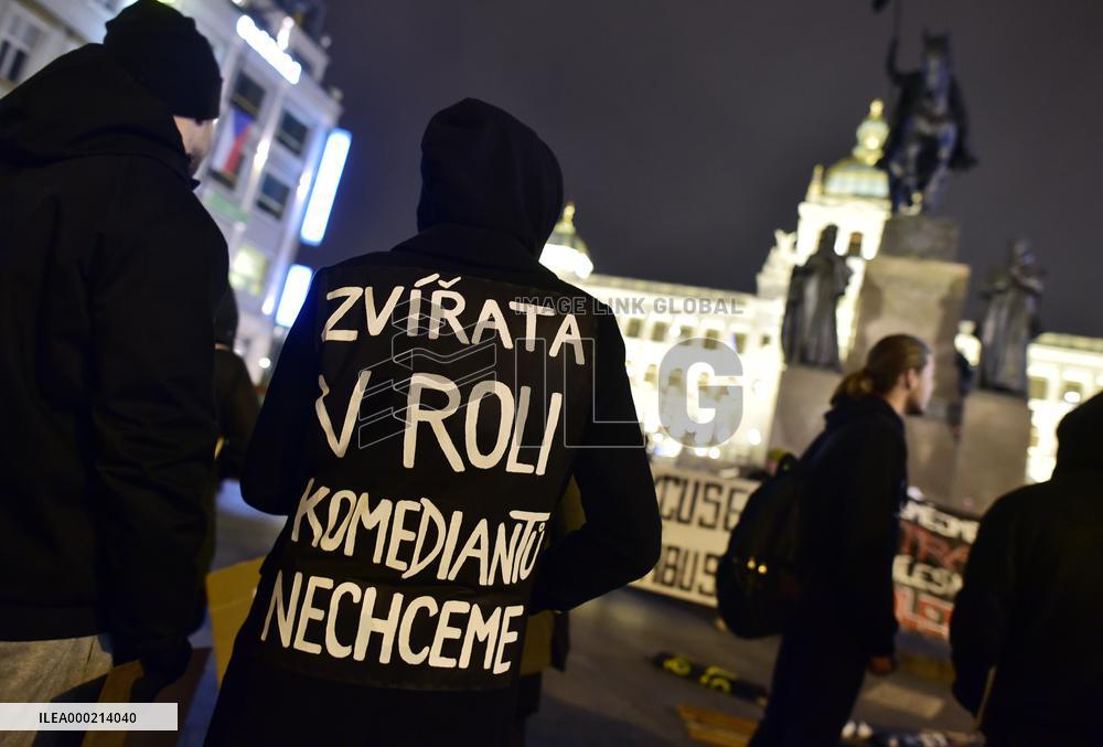 march for circuses without animals