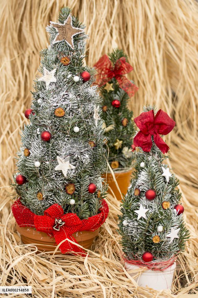 Christmas, Christmas decoration, Christmas tree, coniferous branches, natural Christmas decoration, floristry