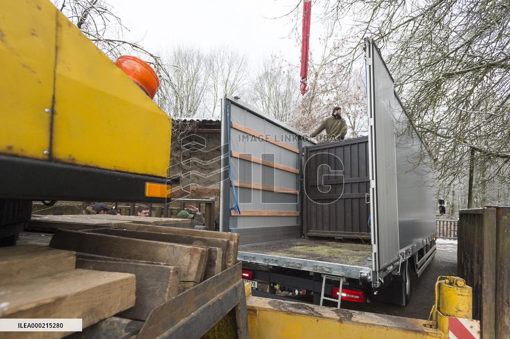transport box, Southern white rhinoceros female Jabulina, Ceratotherium simum simum