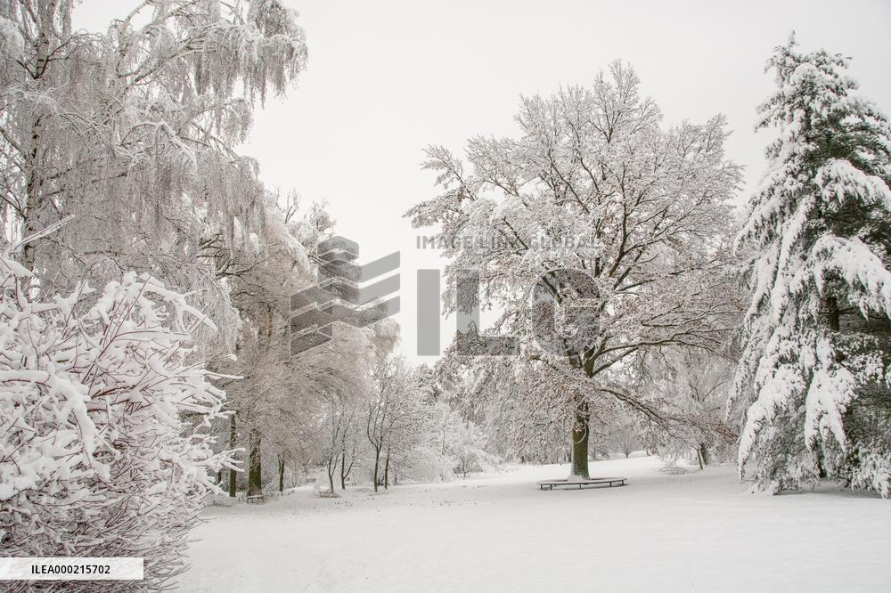 Tree in landscape under fresh snow