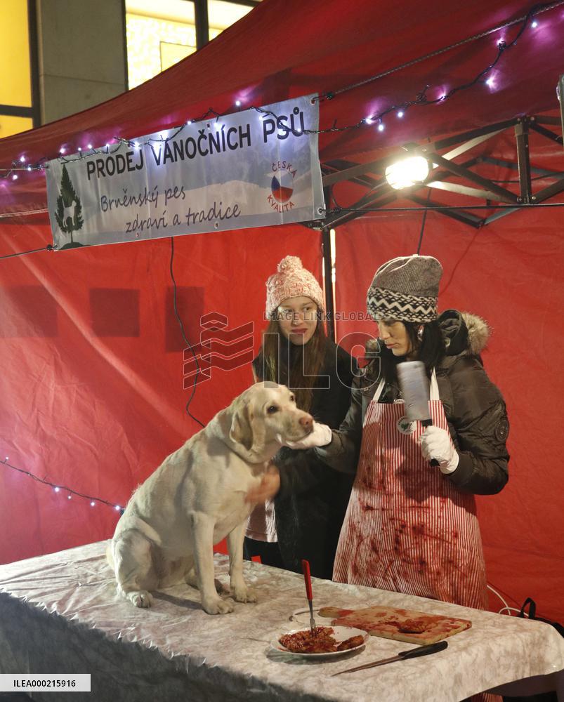 protest happening Selling of Christmas dogs
