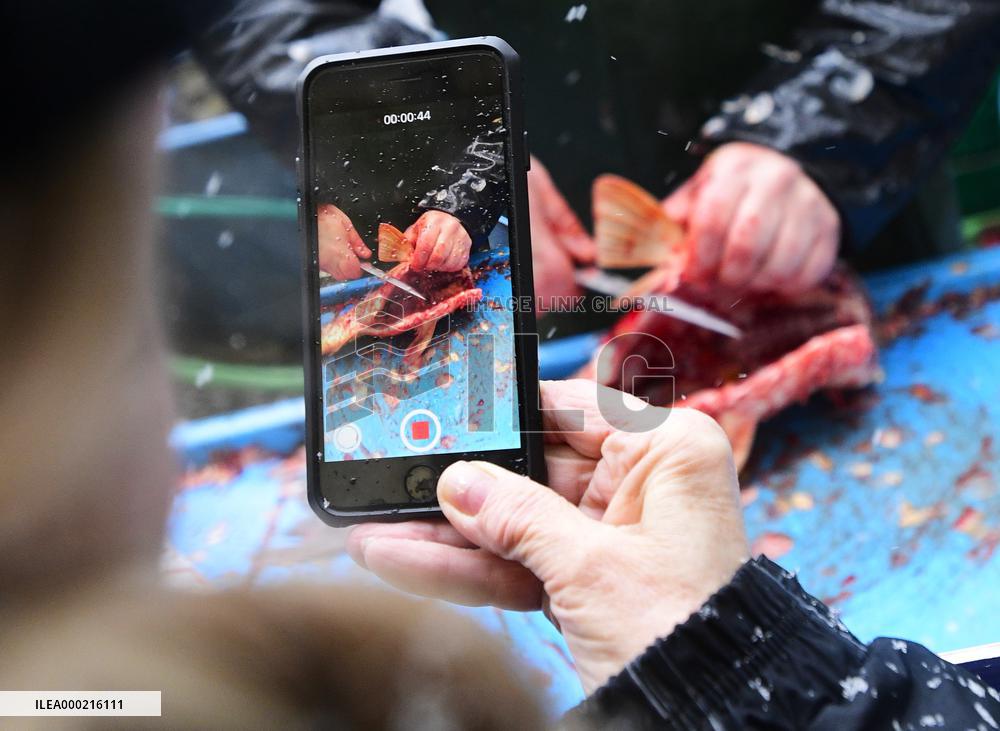 Christmas sale of carps