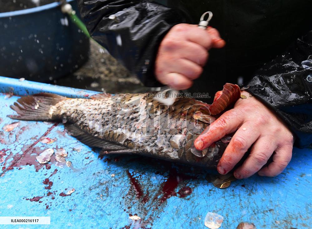 Christmas sale of carps