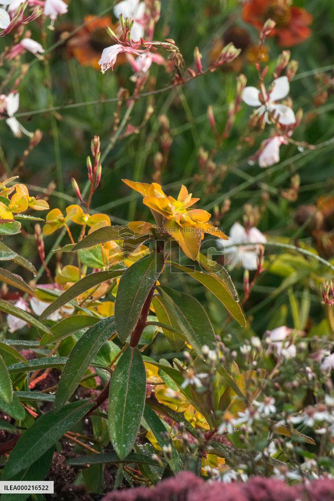 Flower beds in the Dendrological Garden in Pruhonice