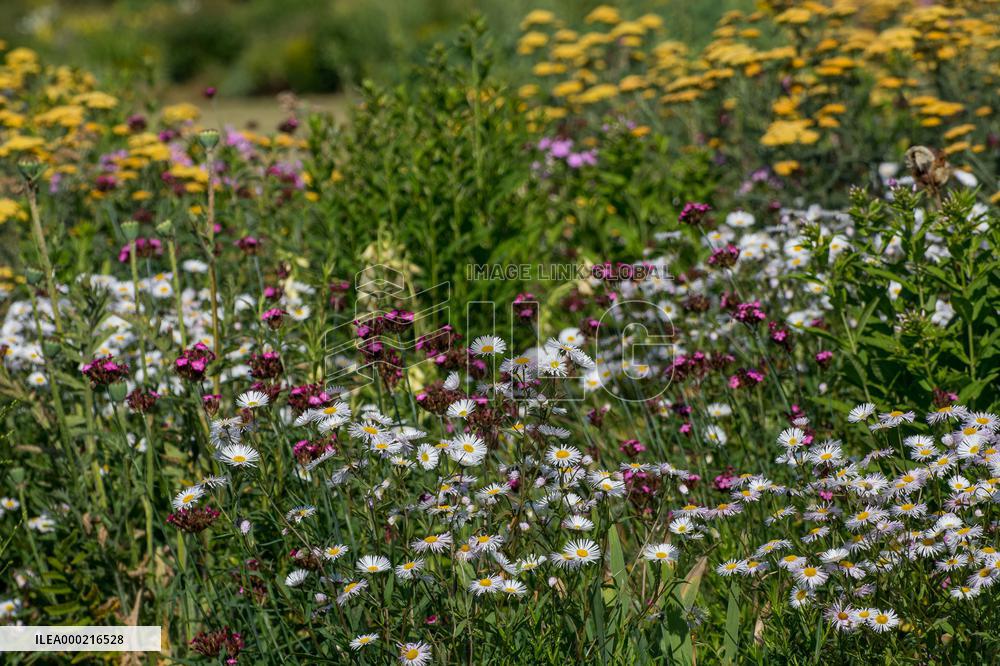 Flower beds in the Dendrological Garden in Pruhonice