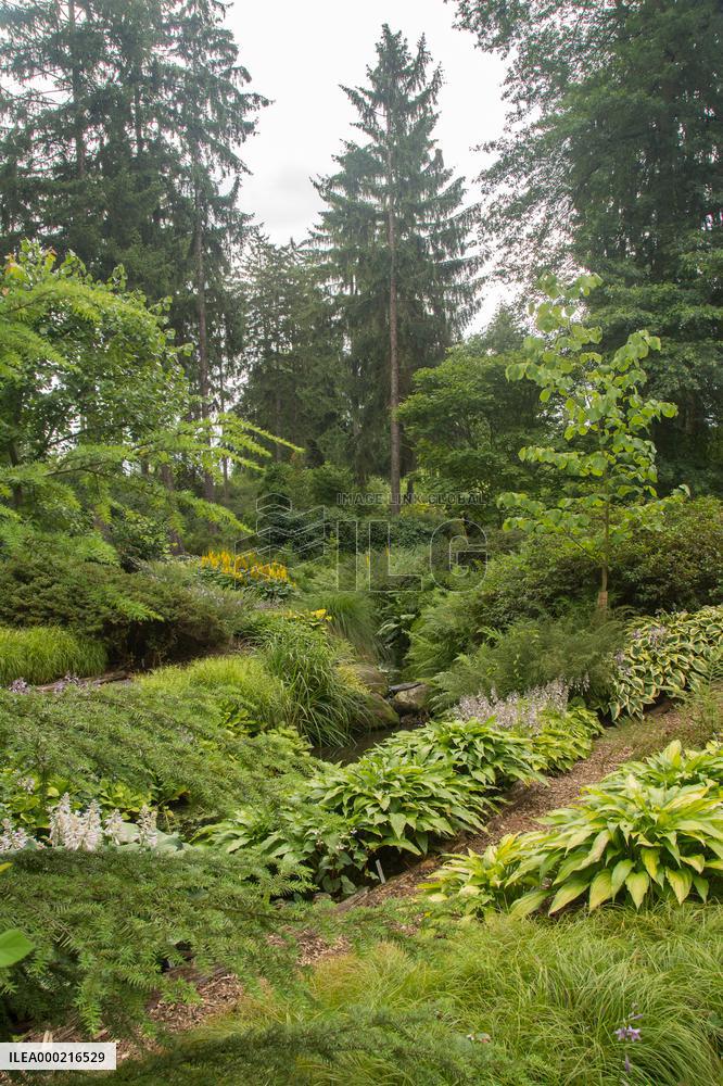 Flower beds in the Dendrological Garden in Pruhonice