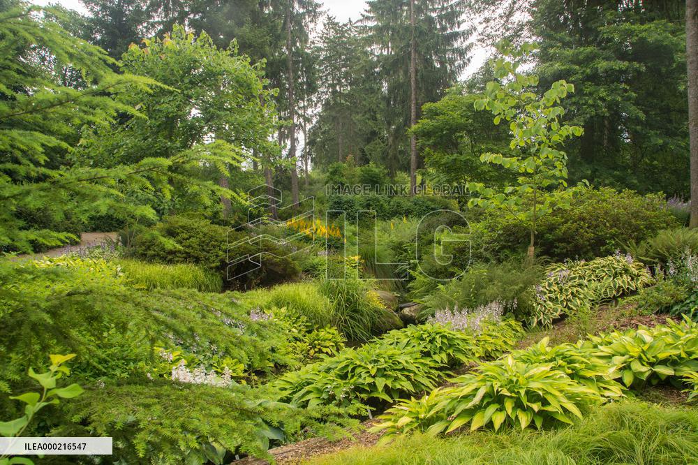 Flower beds in the Dendrological Garden in Pruhonice