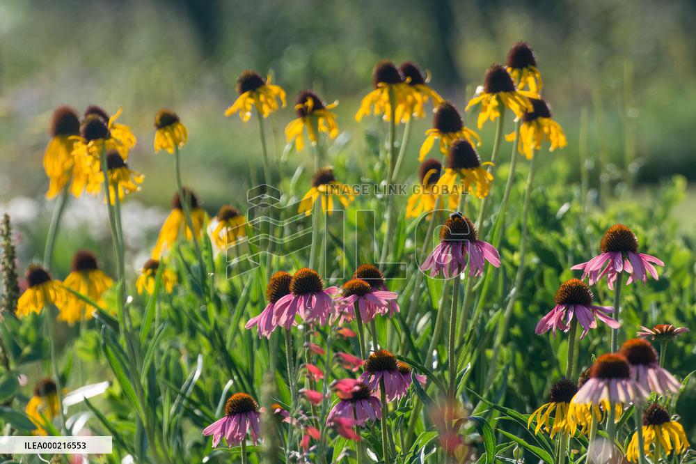 Flower beds in the Dendrological Garden in Pruhonice
