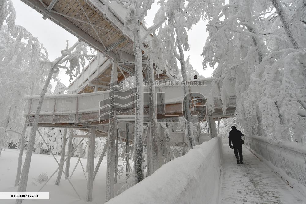 Valaska panoramic trail, skywalk, snow, footbridge