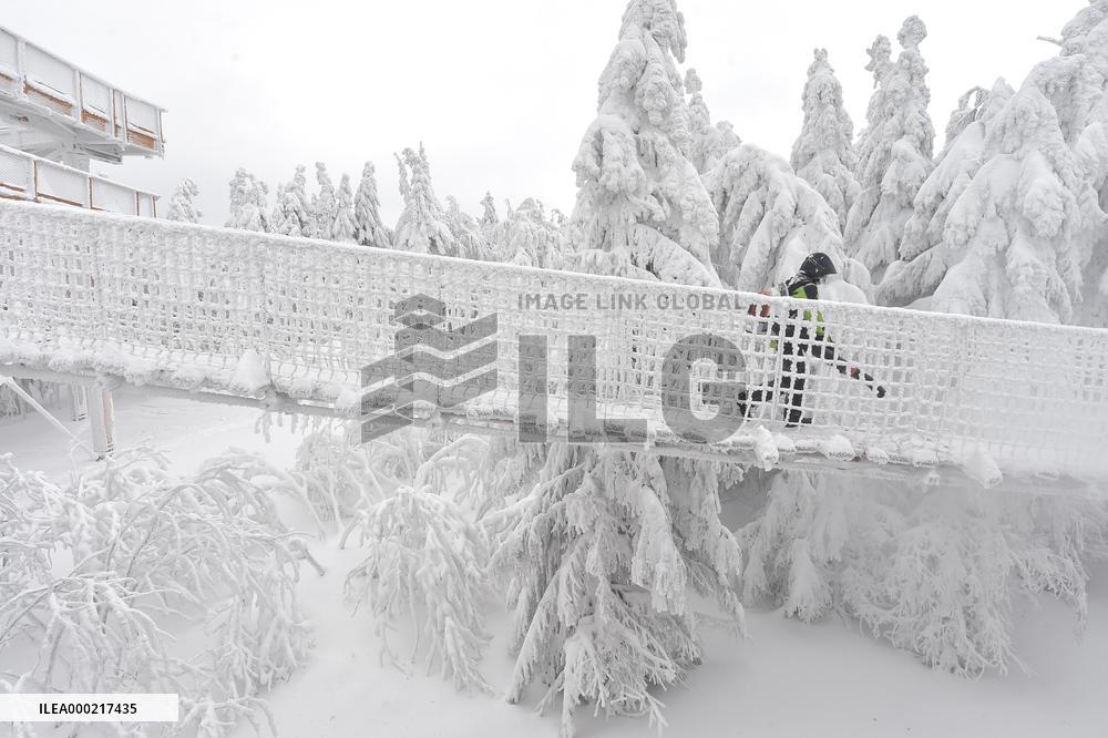 Valaska panoramic trail, skywalk, snow, footbridge