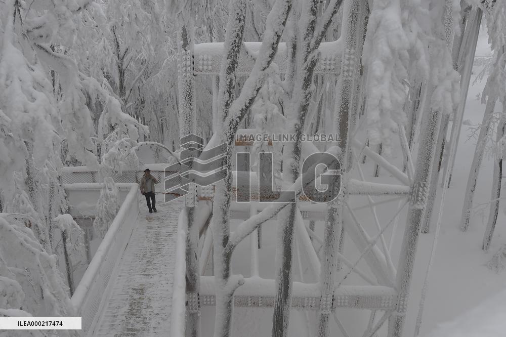 Valaska panoramic trail, skywalk, snow, footbridge