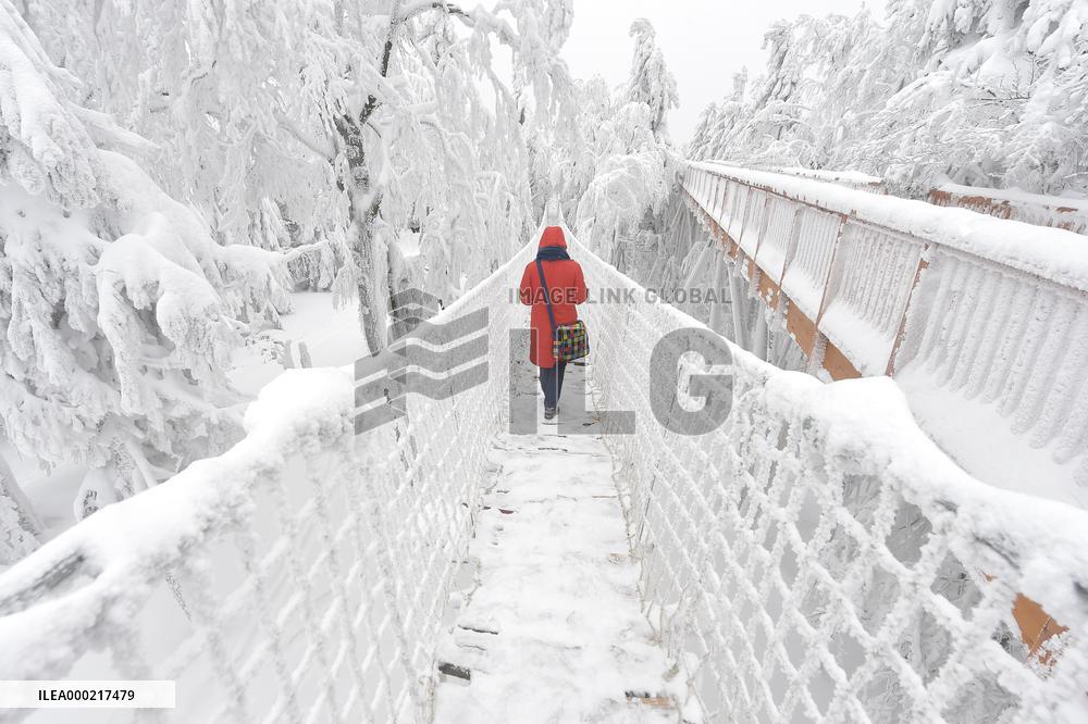 Valaska panoramic trail, skywalk, snow, footbridge