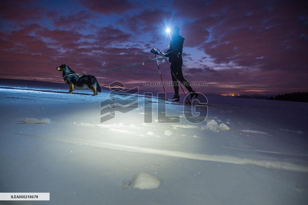 cross-country skier, skiing
