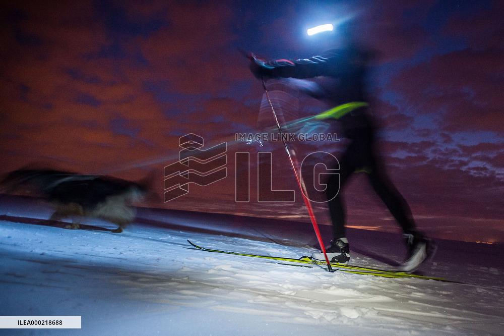 cross-country skier, skiing