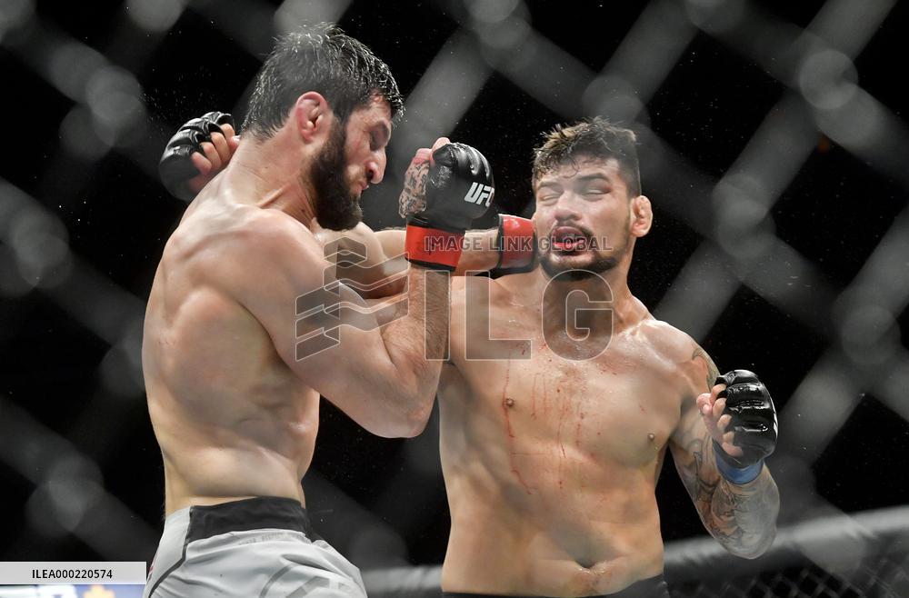 Magomed Ankalaev, Klidson Abreu