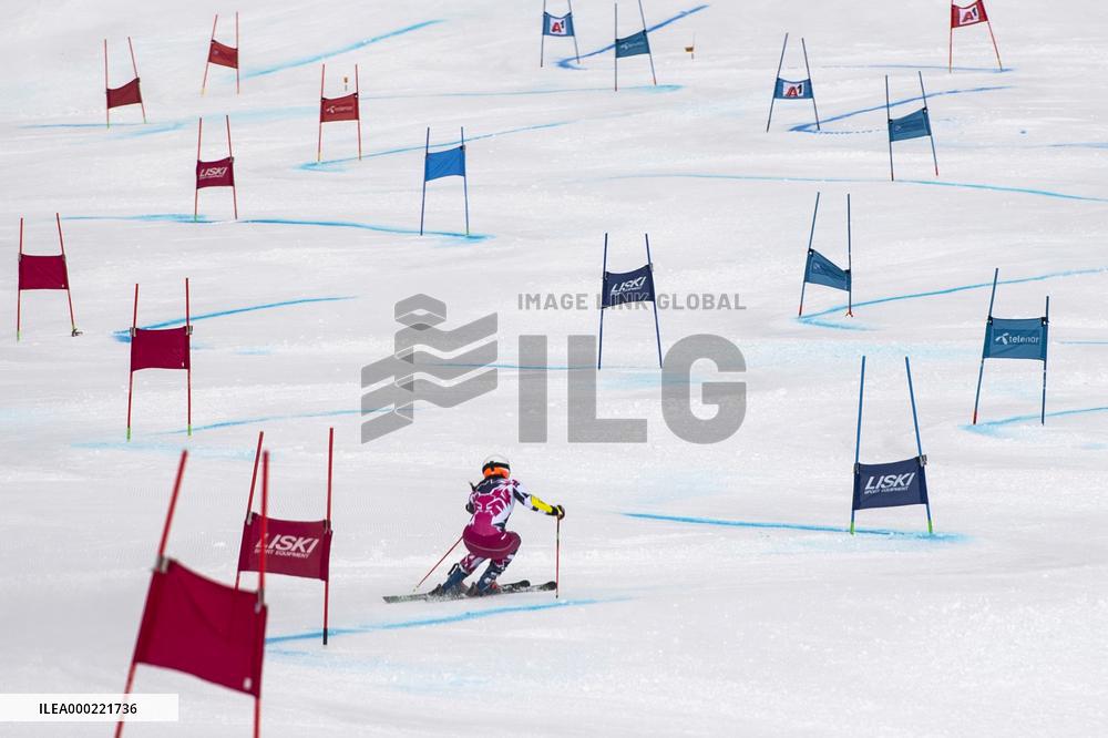 Skier, training session