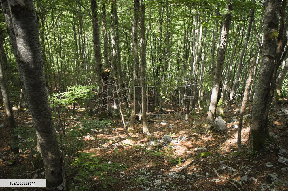Prokletije National park, Mountains