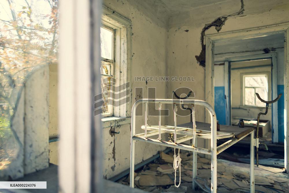 Chernobyl zone, restricted territory, dog, village Lis