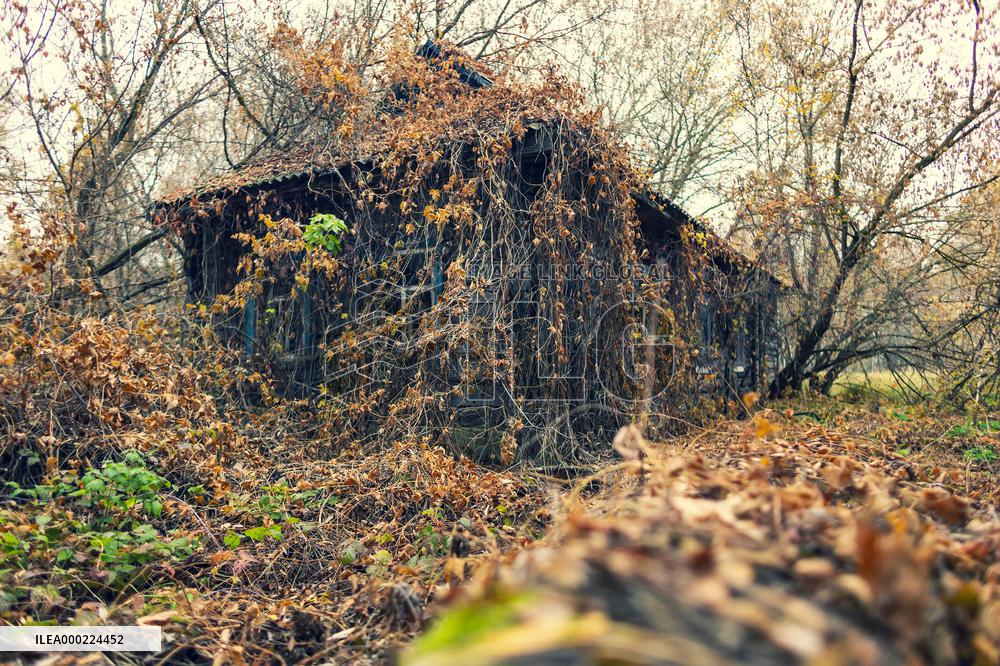 Chernobyl zone, restricted territory, village Krasne