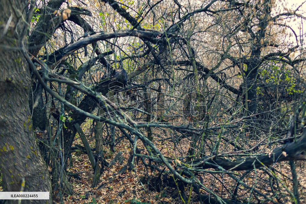 Chernobyl zone, restricted territory, village Krasne
