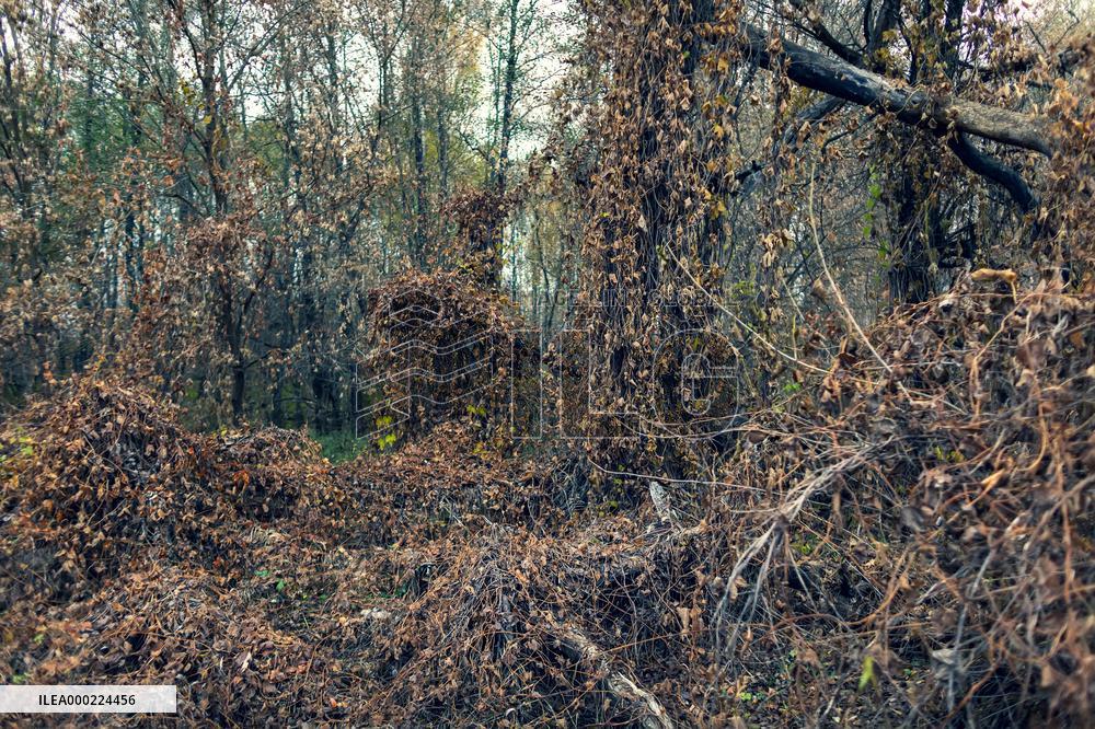Chernobyl zone, restricted territory, village Krasne