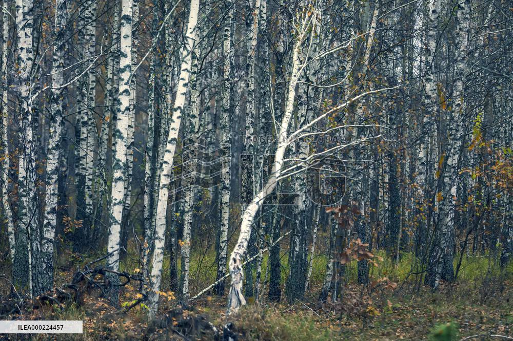 Chernobyl zone, restricted territory, village Krasne