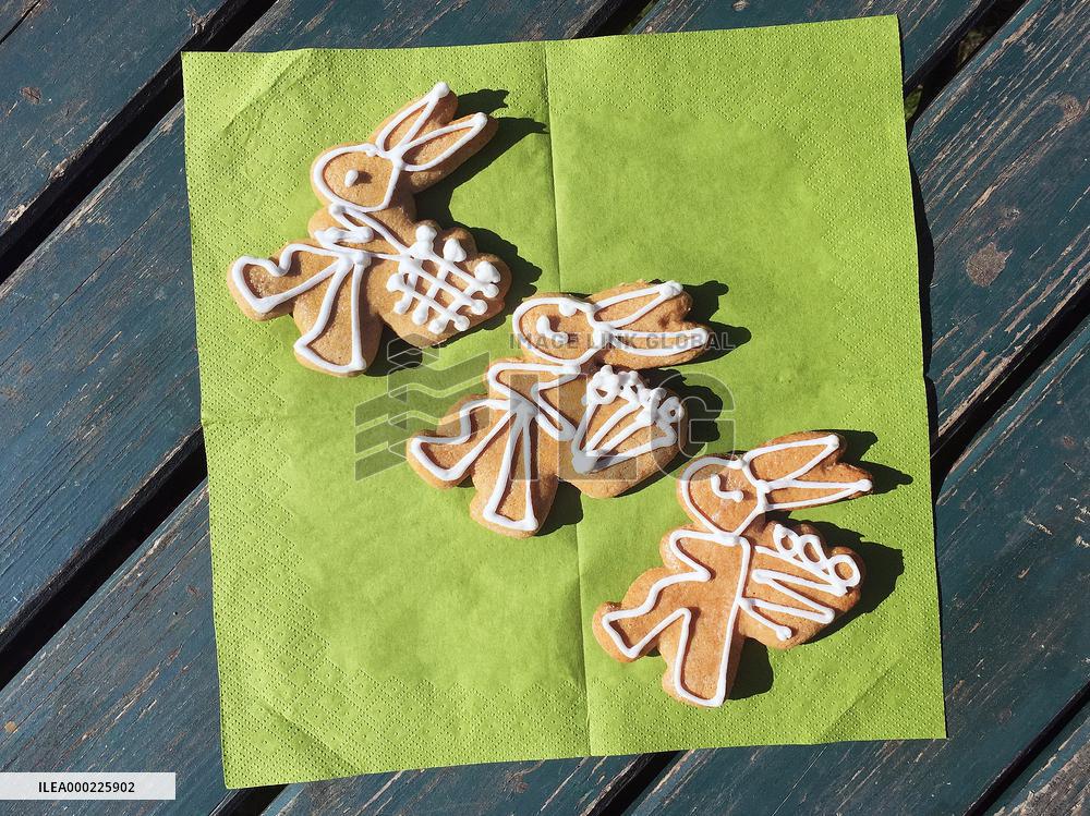 Easter Bunny, Rabbit, Hare, biscuit, gingerbread, green table