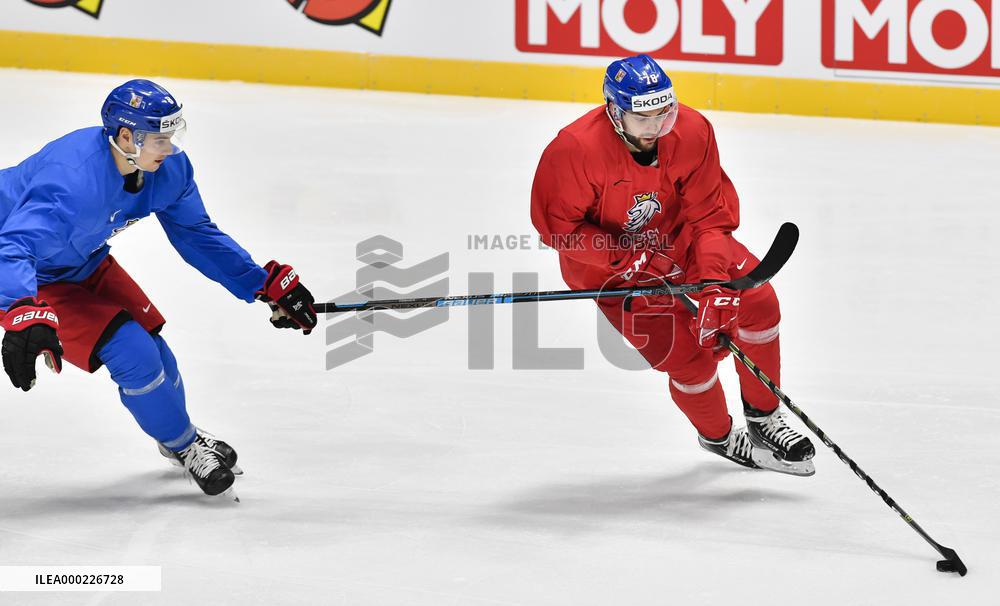 David Tomasek, Robin Hanzl