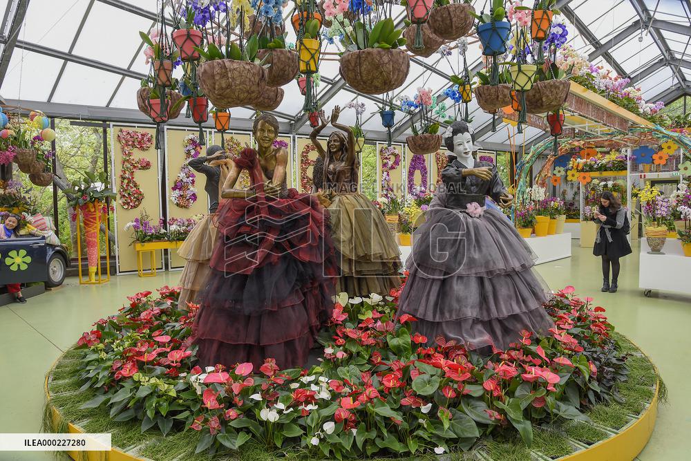 Keukenhof, Garden of Europe, tulips