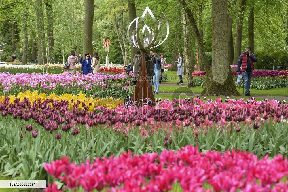 Keukenhof, Garden of Europe, tulips