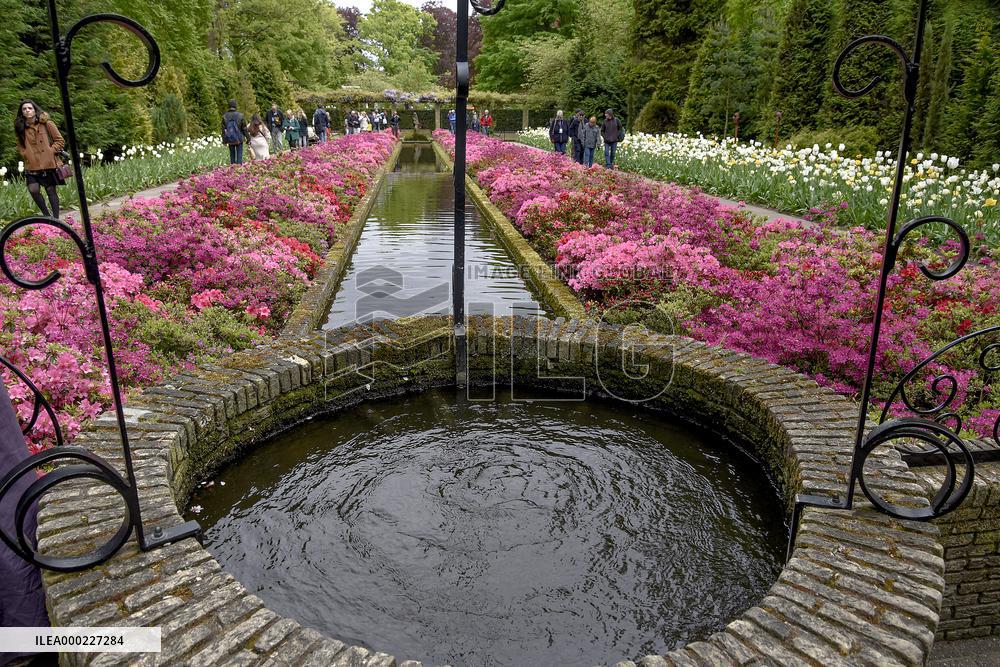 Keukenhof, Garden of Europe, tulips