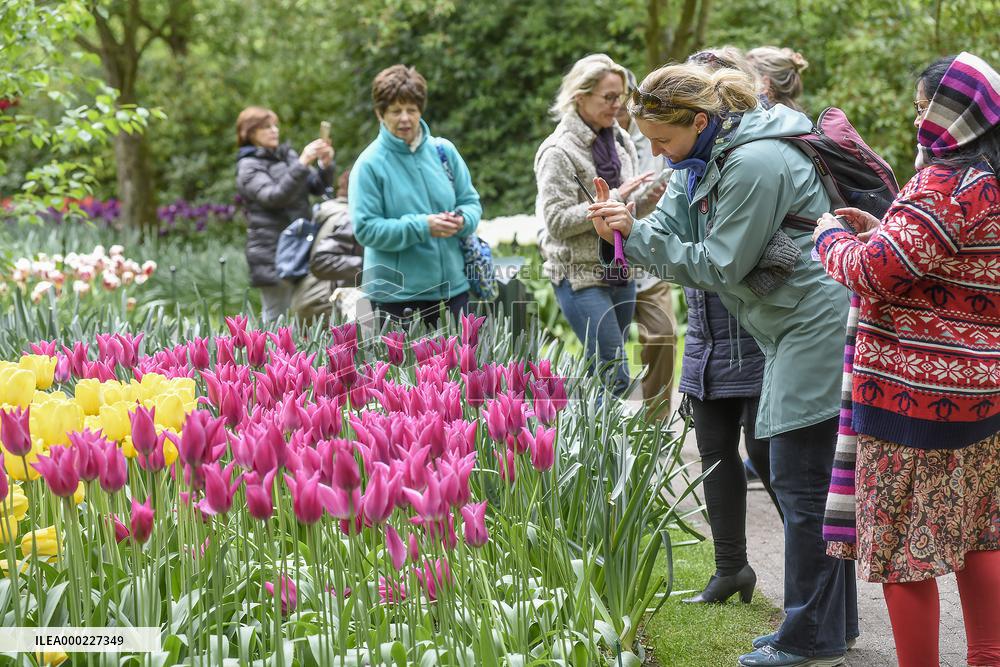 Keukenhof, Garden of Europe, tulips, tourists, visitors