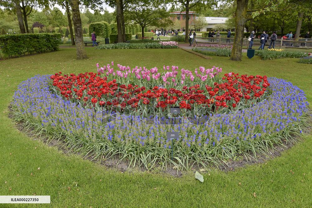 Keukenhof, Garden of Europe, tulips