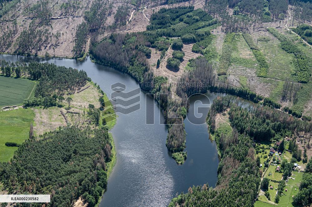 Forest, forests, tree, trees, dead, spruce, river Zelivka