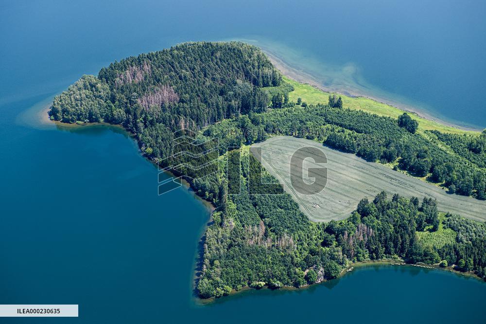 Forest, forests, tree, trees, dead, spruce, river Zelivka, dam Svihov