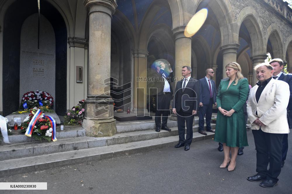 Zuzana Caputova, Michael Zantovsky