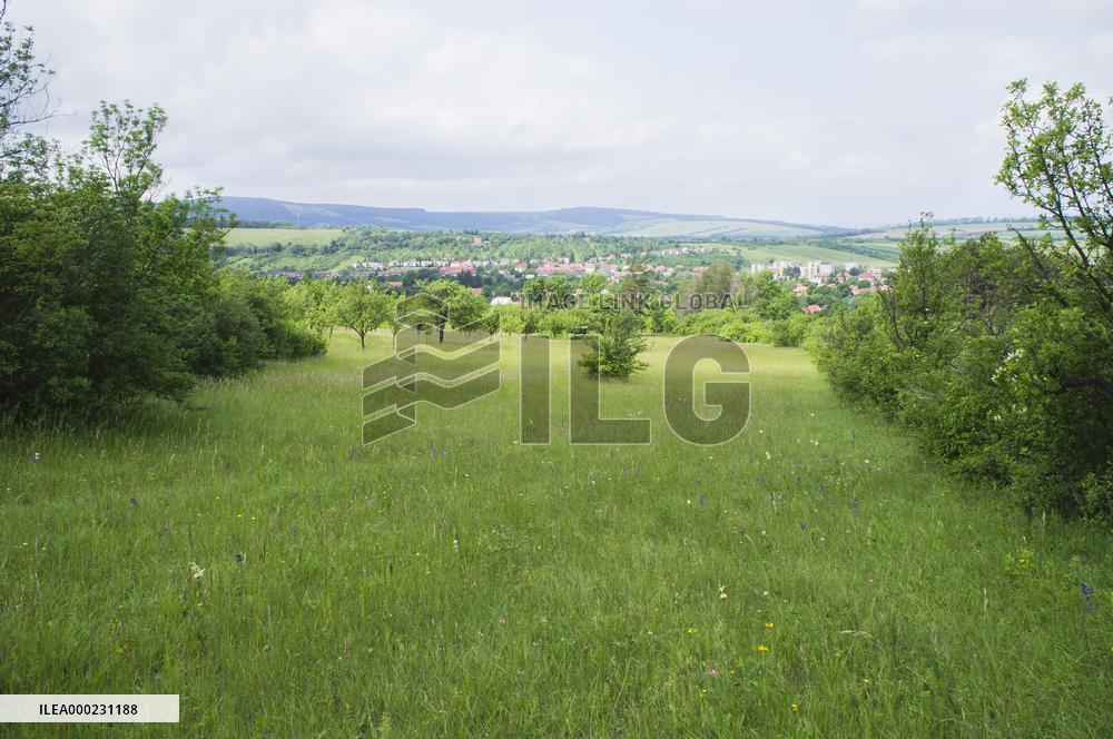 Velka nad Velickou village, orchard