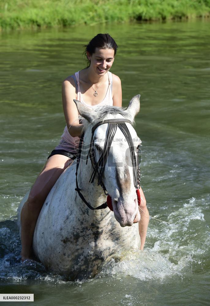 horse swimming, horse women
