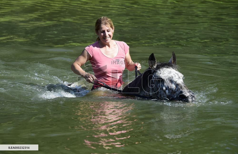 horse swimming, horse women
