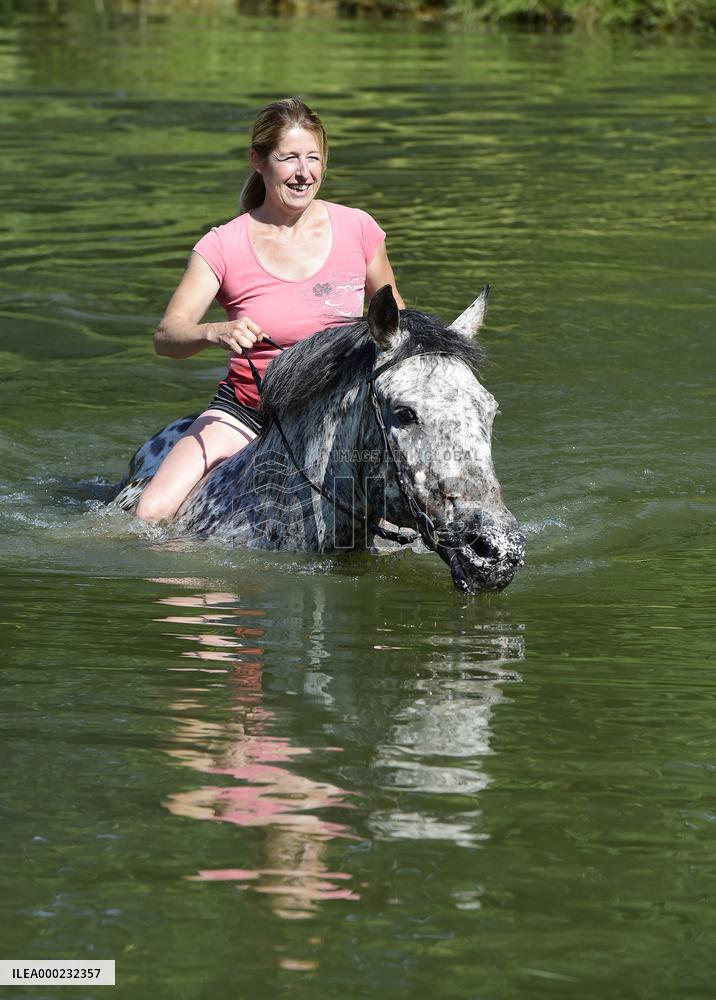 horse swimming, horse women