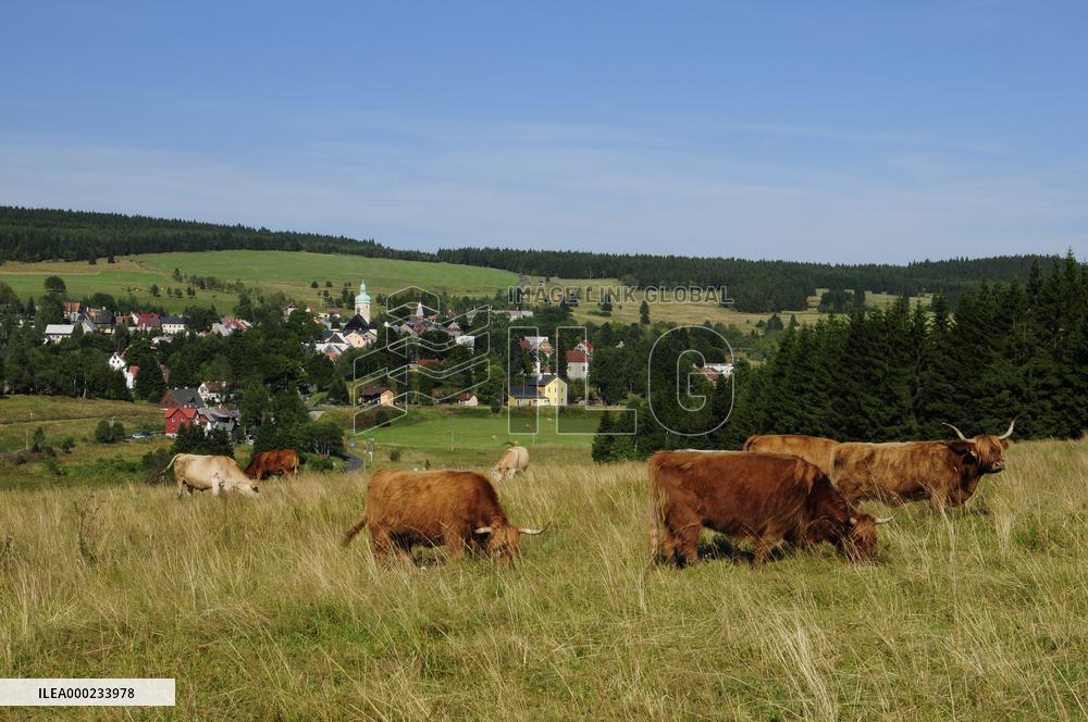 Horni Blatna, Erzgebirge/Krusnohori (Ore Mountain) Mining Region