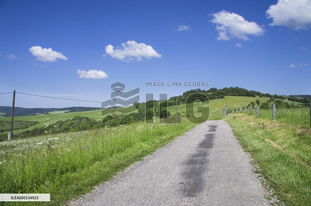 Zitkova Moravian Kopanice countryside, landscape, meadows, road, path, pasture land