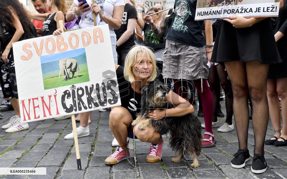 The Official Animal Rights March 2019 in Prague