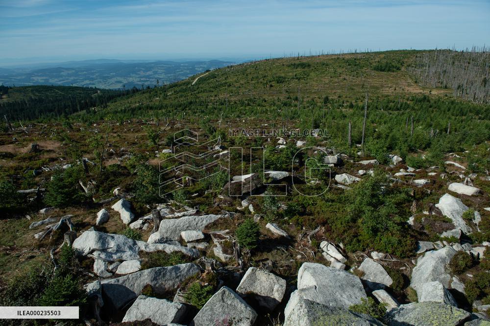 Sumava National Park, Bohemian Forest