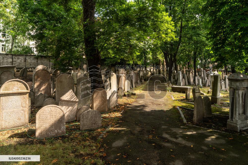 The old Jewish cemetery Zizkov, Prague, graveyard