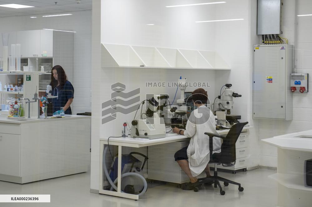 Skoda Auto, production plant, new paint shop
